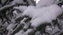 20120527113115-traceevidence2