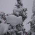 20120527113219-traceevidence3