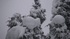 20120527113219-traceevidence3