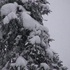 20120527113312-traceevidence4