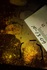 20120527113901-trace_439