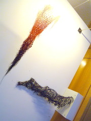 ,DONNA HAPAC