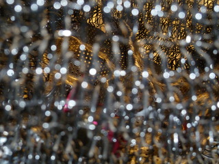 Illusion (detail),Mimi Peterson