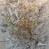 20120528005645-photo