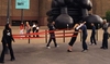 20120529011700-phpthumb_generated_thumbnailjpg