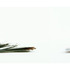 20120529104223-i_am_a_house_wife_and_i_would_have_to_give_birth_to_a_male_baby_so_my_mother_in_law_would_be_happy