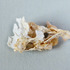 20120529155630-_mg_9303