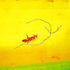 20120624214216-blown_away