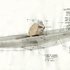 20120530185532-levmass_dwg_color_copy