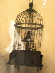 Automaton,Amy Sollins