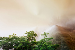 20120530225018-treesandfog