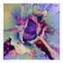 20120531013914-eatyourveggies_36x36_lg