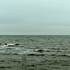 20120601082829-horizon-for-einvite