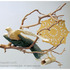 20120601160109-xgraf_empathyhope_det1