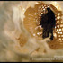 20120601165803-xgraf_vanitas-i_det2b