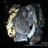 20120601182920-xgraf_vanitas-ii_det3