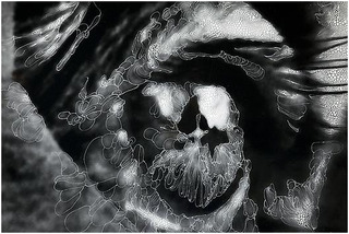 Eye #1 (detail),Sebastiaan Bremer