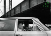 20120602023745-a_green_archipelago_