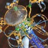 20120602030122-coryclinton2_looking_glass_detail_2_web_