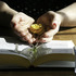 20120602133820-eilis_o_connell_thom