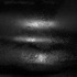 20120602140525-ilene_amster-holcomb_-_new_file