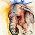 20120603212618-africa