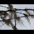 20120604132417-faith