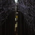 20120604135149-_mg_9505