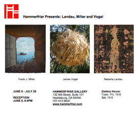 Exhibition featuring 3 Solo Shows,Frank Miller, Natasha Landau, James Vogel