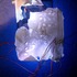 20120605025941-ipaddetail