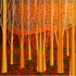 20120605171259-11_forest__1