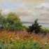 Cedar_by_the_bay
