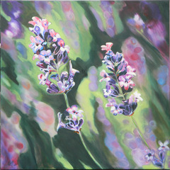 Lavender,Gabrielle Bill