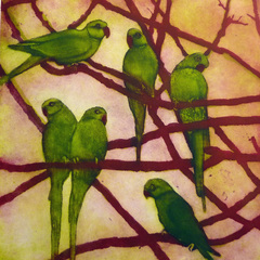 City Birds,Susie Perring
