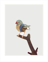 This Little Bird,Johnny Christ