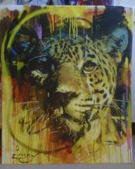 Jaguar,Zinsky