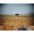 20120606224531-golden_2011