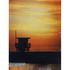 20120606224659-lucky_old_sun_2011