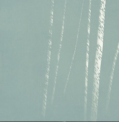 "Reappearing" ,Robert Kipniss