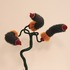 20120607015939-72applegate_carolyn_menage_a_trois_1
