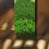 20120607021820-72schmidt_mark_erotic_landscape_with_corner