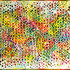20120607155513-nobodywinswhofightsalone