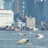 20120607162525-james_4