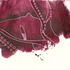 20120607165906-unkind_octopus