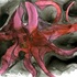 20120607170037-berzerker_cephalopod