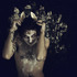 20120607182158-wolf_i_from_the_series_shadows_on_parade