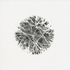 20120607183332-specimen_1