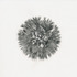 20120607183522-specimen_3