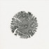 20120607183712-specimen_5