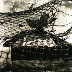Untitled,Jay DeFeo